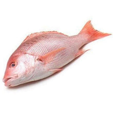 FISH RED/IKAN MERAH Fresh