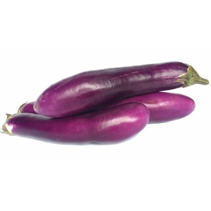TERUNG PANJANG/BRINJAL