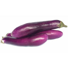 TERUNG PANJANG/BRINJAL