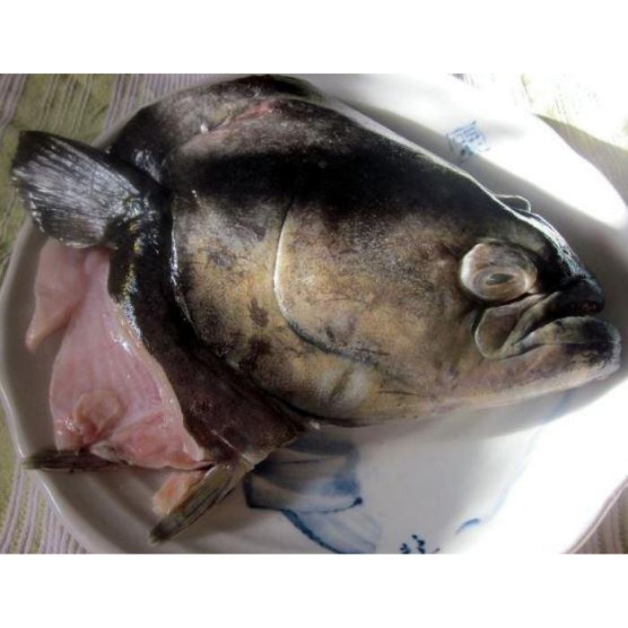 FISH HEAD HALIBUT USA (700g-2kg+-/piece) Sold by kg