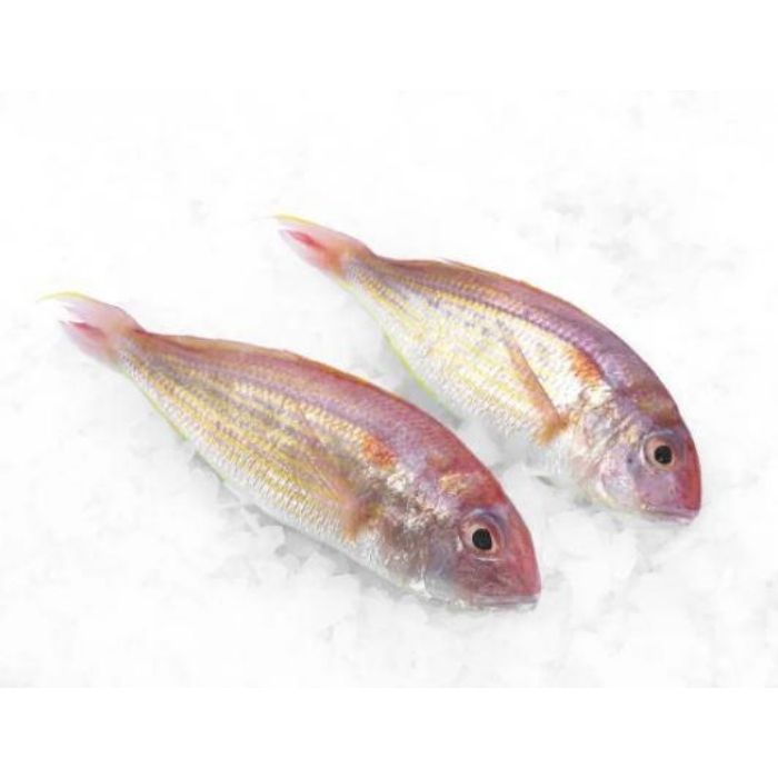 FISH KERISI / Threadfin Bream Frozen