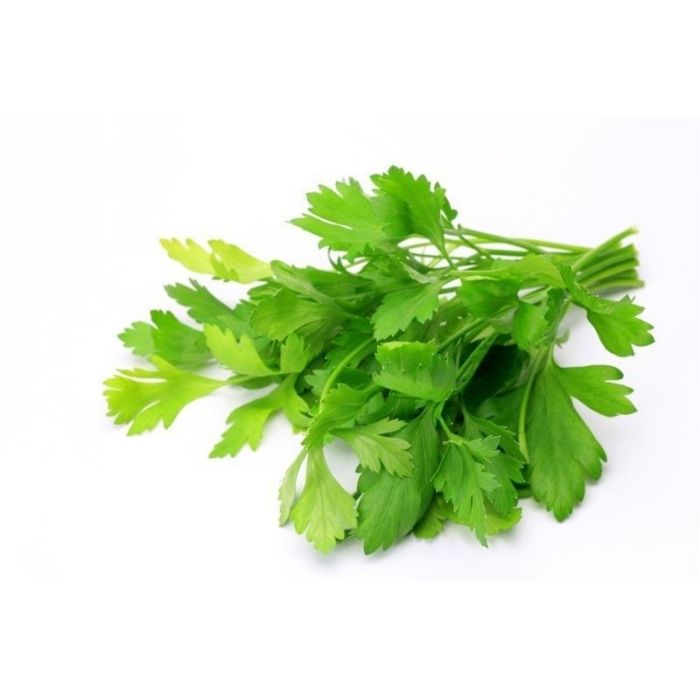 PARSLEY CORIANDER LEAF/Daun Ketumbar 香菜