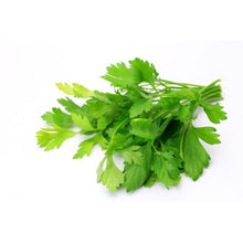 PARSLEY CORIANDER LEAF/Daun Ketumbar 香菜