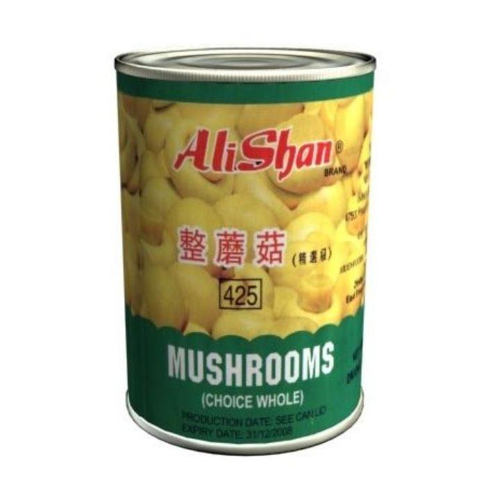 蘑菇 棕色 阿里山