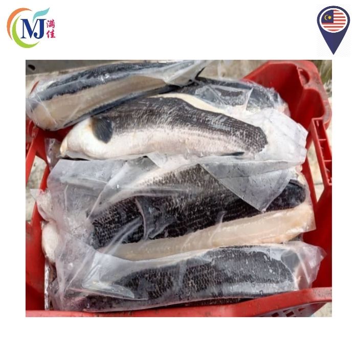 FISH FILLET TOMAN/Snakehead 多鳗鱼片 Frozen