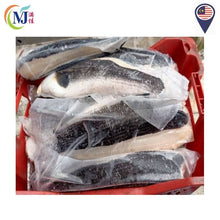 FISH FILLET TOMAN/Snakehead 多鳗鱼片 冷冻