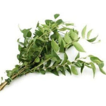 DAUN KARI/Curry Leaf