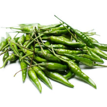 CILI PADI HIJAU