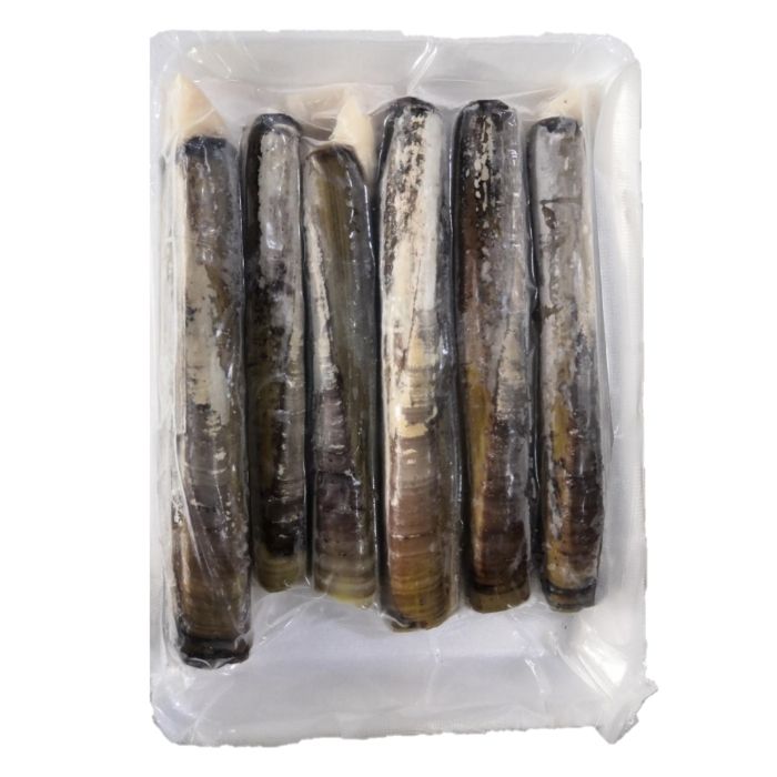 BAMBOO CLAM Saiz Medium Frozen 1kg/pack
