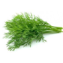 DILL LEAF Dried Herb 50g/pack