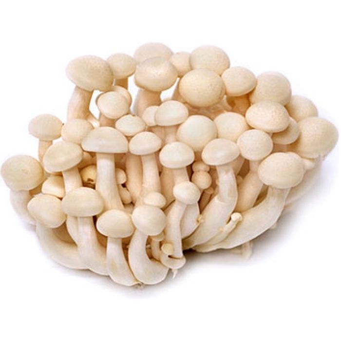 MUSHROOM SHIMEJI Bunapi White