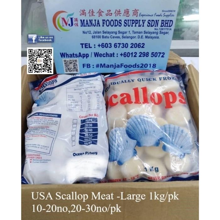 SCALLOP MEAT SEA Canada
