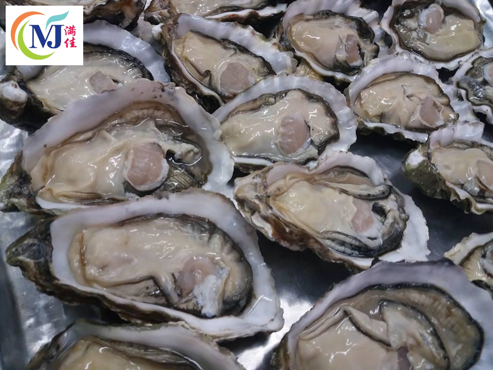 OYSTER Half Shell Frozen – Manja Foods