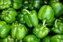 BELL PEPPER Green/Cili Apple Hijau