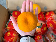 大 橙子 24个 一盒4公斤
