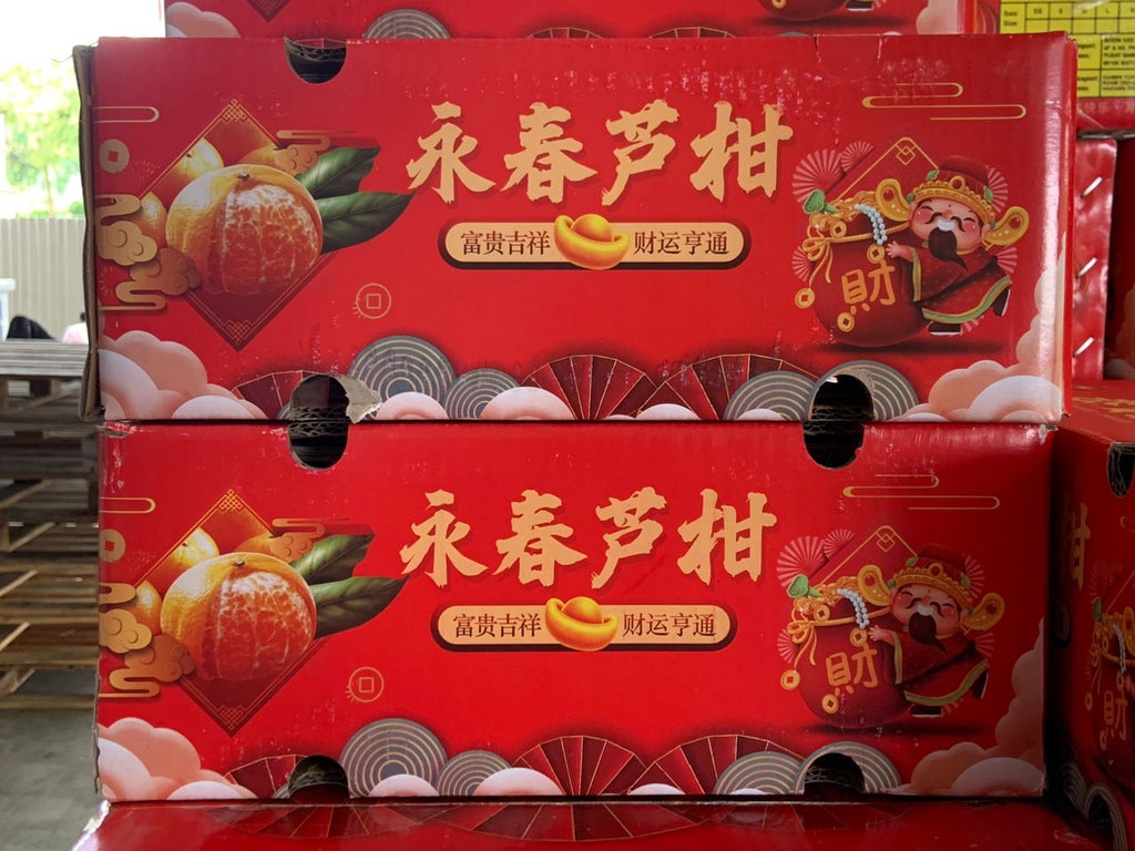 大 橙子 24个 一盒4公斤