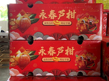 大 橙子 24个 一盒4公斤
