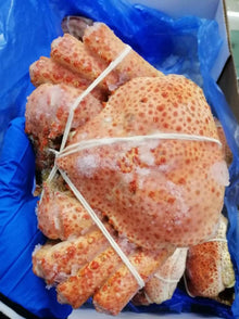 SNOW CRAB Australian