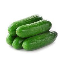 TIMUN/CUCUMBER BABY Local
