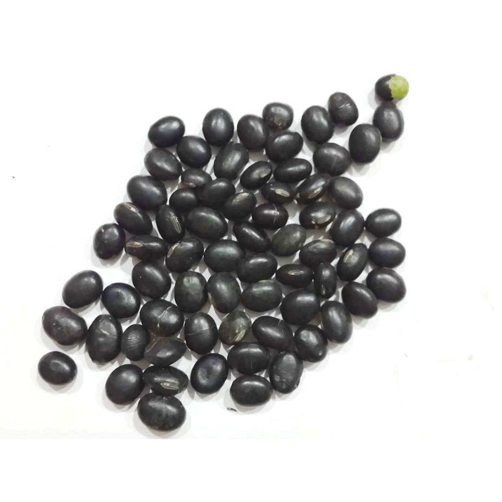 KACANG HITAM