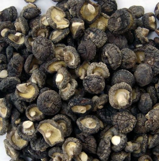 MUSHROOM DRIED Black Saiz Big