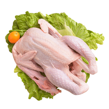 CHICKEN WHOLE OLD