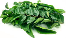 DAUN KARI/Curry Leaf