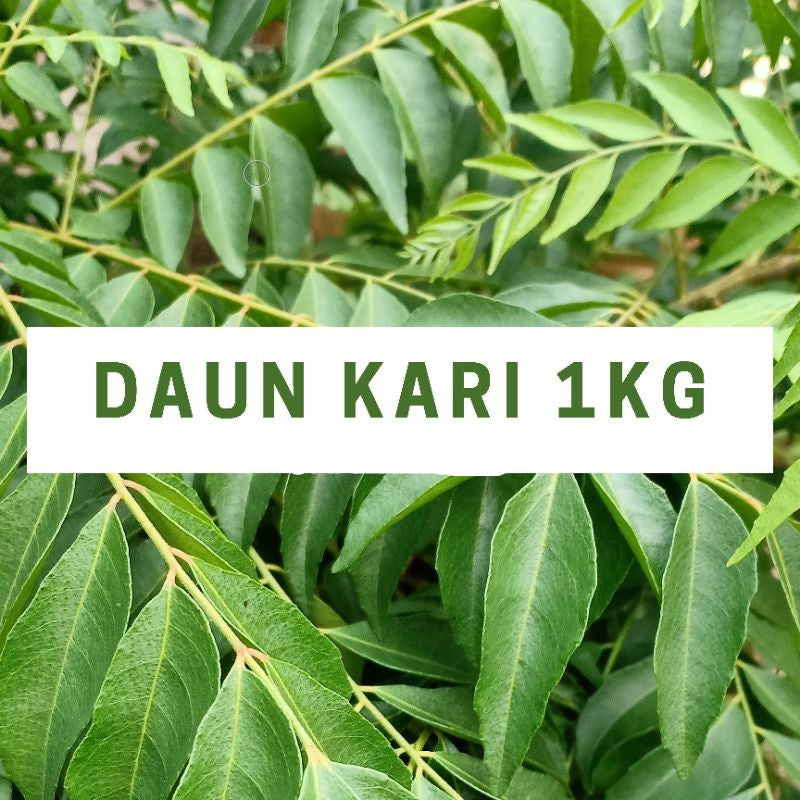 DAUN KARI/Curry Leaf