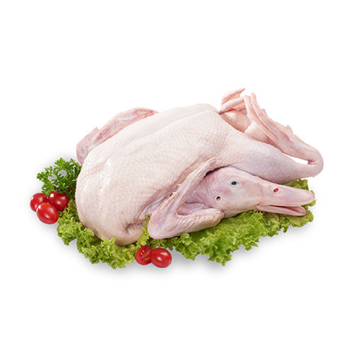 DUCK WHOLE BIRD Frozen Gred-A