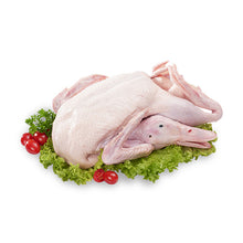 DUCK WHOLE BIRD Frozen Gred-A