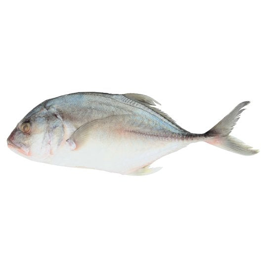 鱼 NYOK NYOK