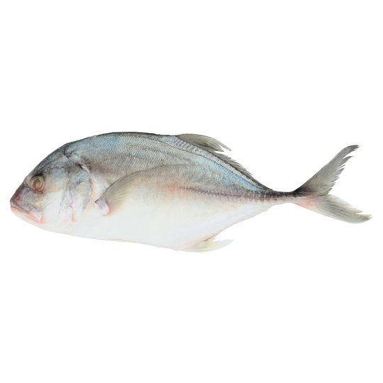 FISH NYOK NYOK