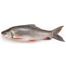 FISH ROHU/White Curp Head On Gutted (1kg-2kg/piece) 20kg