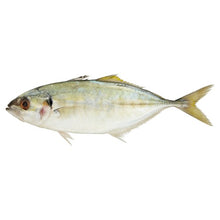 FISH SELAR Fresh (6-8pcs) Sold by kg