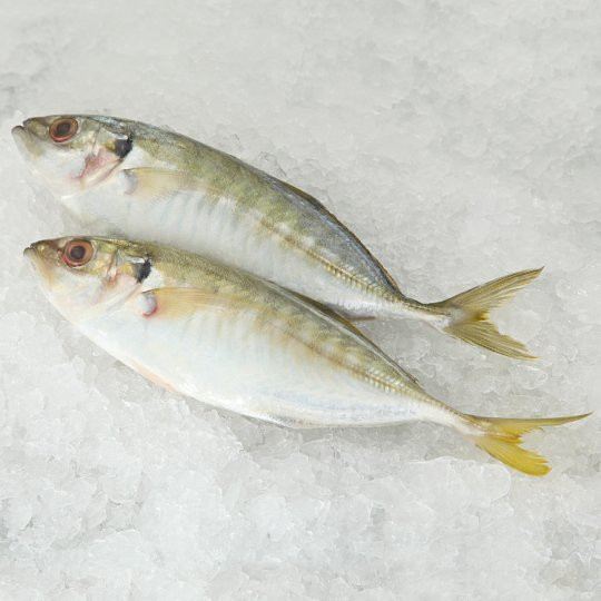 FISH SELAR Frozen (6-8pcs) Sold by kg