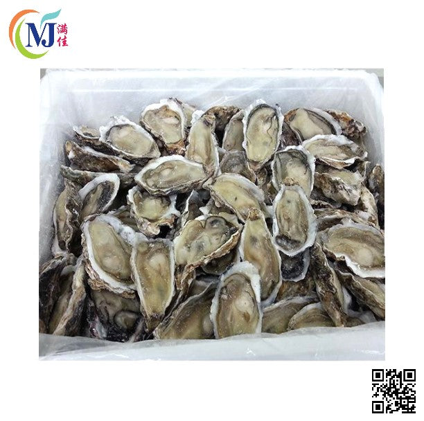 OYSTER Half Shell China Beku
