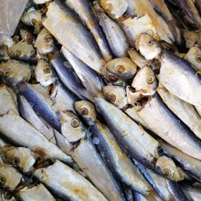 FISH SALTED/IKAN MASIN TAMBAN/SardineFish