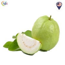 JAMBU BATU/GREEN GUAVA Local