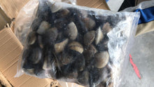 KAPAR 蛤蜊 整只 冷冻