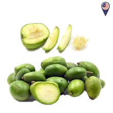 KEDODONG/Ambarella Green 