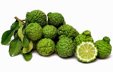 LIMAU PURUT/Kaffir Lime/Bergamot