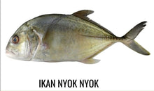 鱼 NYOK NYOK