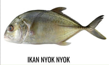 FISH NYOK NYOK