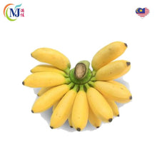PISANG EMAS / BANANA LADY FINGER (Sold by kg)