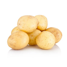 幼马铃薯