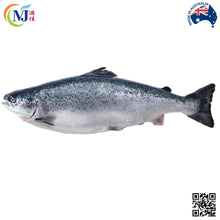 FISH SALMON WHOLE Chilean Frozen 3-6kg+-/nos