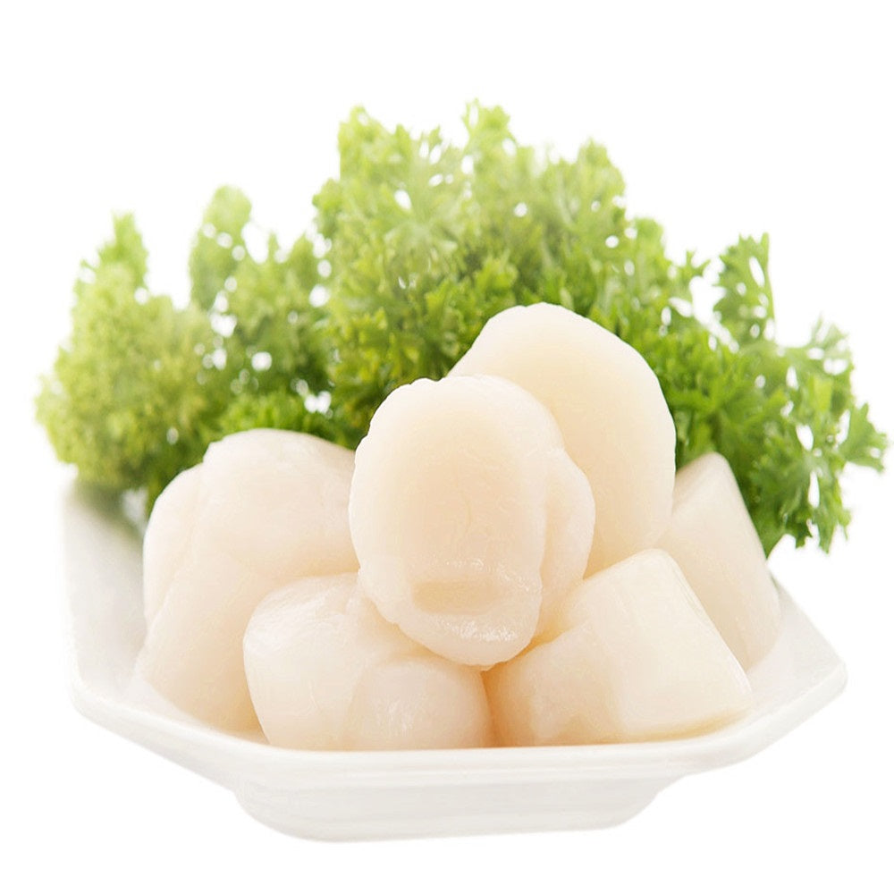 SCALLOP MEAT SEA Canada