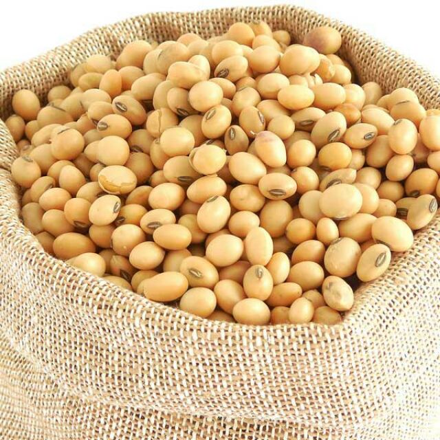 KACANG SOYA BEAN