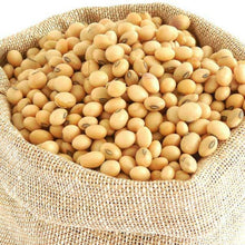 KACANG SOYA BEAN