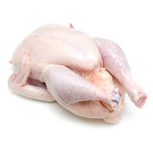 SPRING CHICKEN Frozen